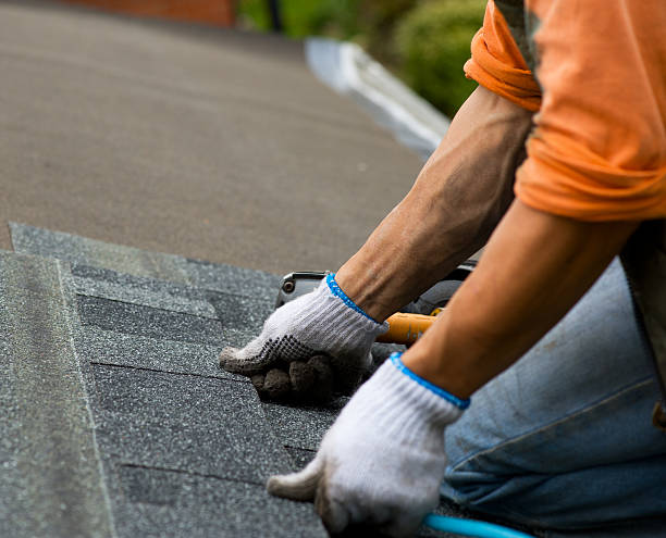 Best Roof Gutter Cleaning  in Minorca, LA